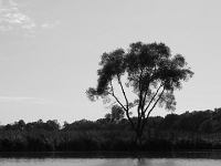 27265CrBwLe - Kayaking with Andy up the Rouge River.JPG